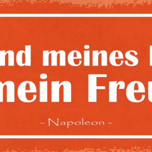 Schild Der Feind Meines Feindes Ist Mein Freund Napoleon 27x10 Blech od.Holz