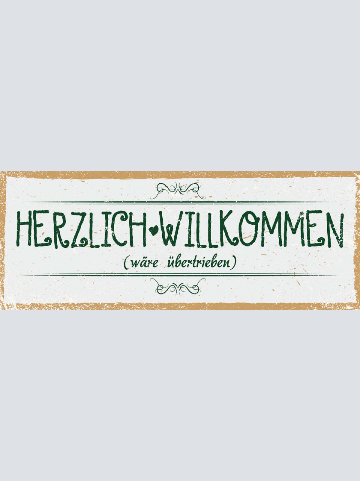 Schild Herzlich Willkommen Wäre Übertrieben Herein Gast Haus 27x10 Blech od.Holz