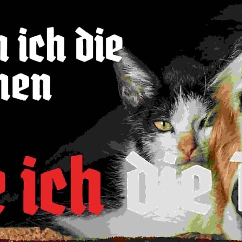 Schild Seitdem Ich Die Menschen Kenne Liebe Ich Die Tiere 27x10 Blech od.Holz