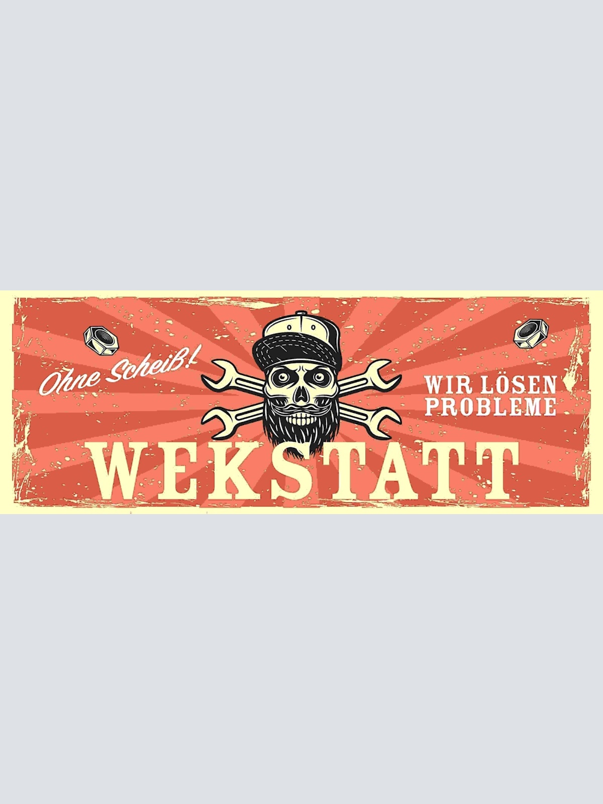 Schild Werkstatt Ohne Scheiß Wir Lösen Probleme Mechaniker 27x10 Blech od.Holz