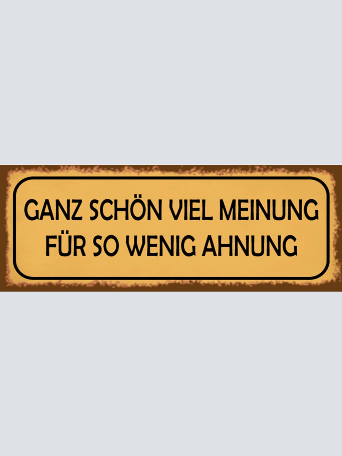 Schild Ganz Schön Viel Meinung Für So Wenig Ahnung Wissen 27 x 10 Blech od. Holz