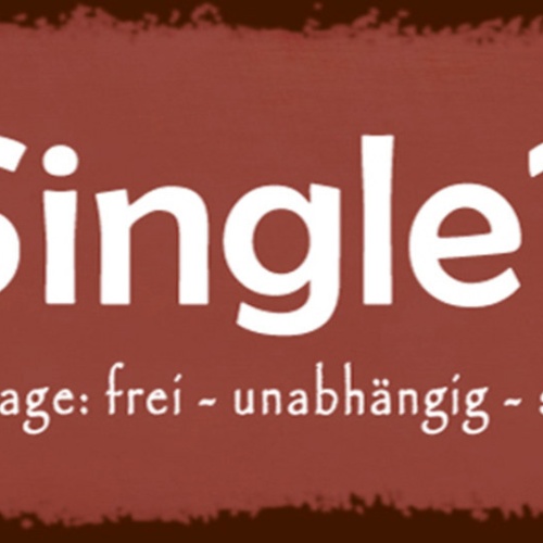 Schild Single Oder Wie Ich Sage Frei Unabhängig Selbstbestimmt 27 x 10