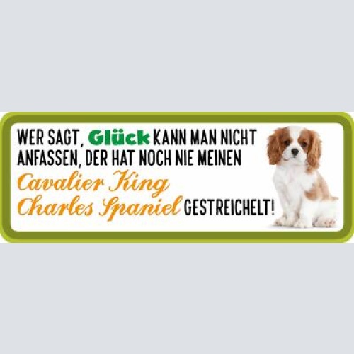 Schild wer sagt glück kann man nicht anfassen charles spaniel gestreichelt hund