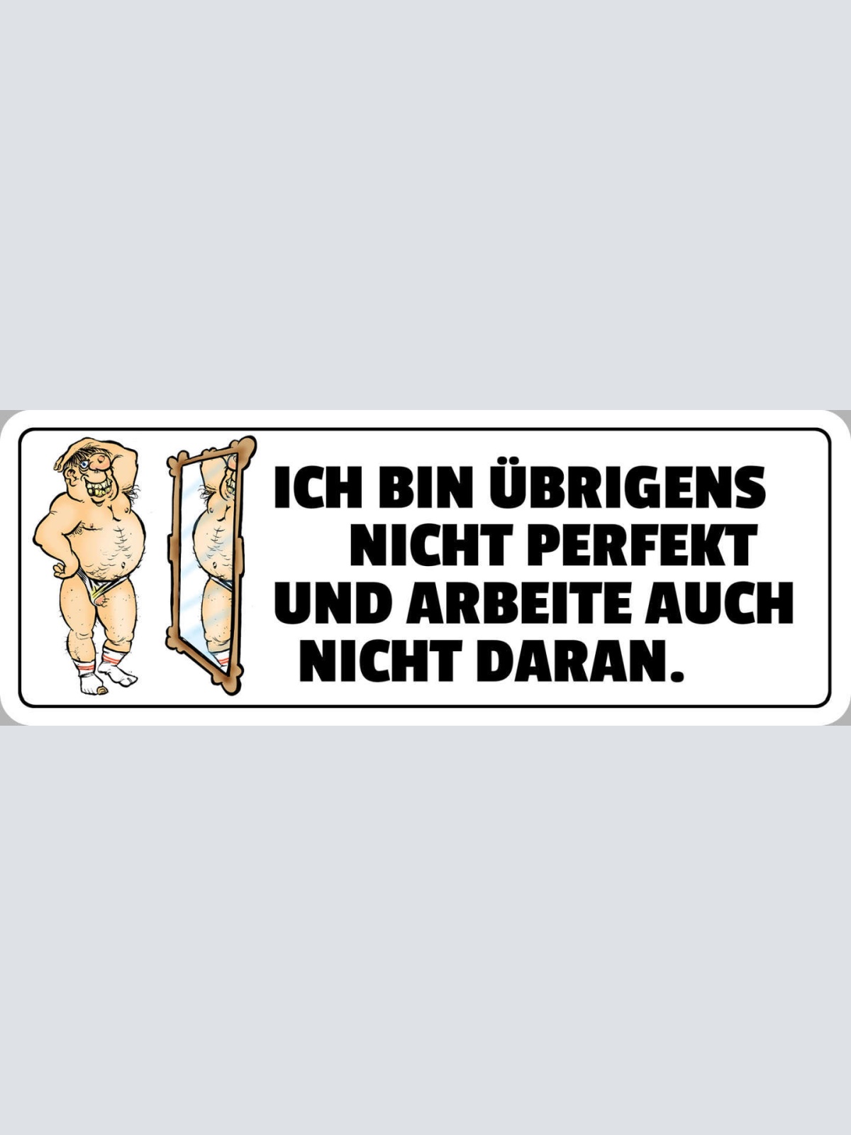 Schild Ich Bin Übrigens Nicht Perfekt & Arbeite Auch Nicht Daran Körper 27 x 10