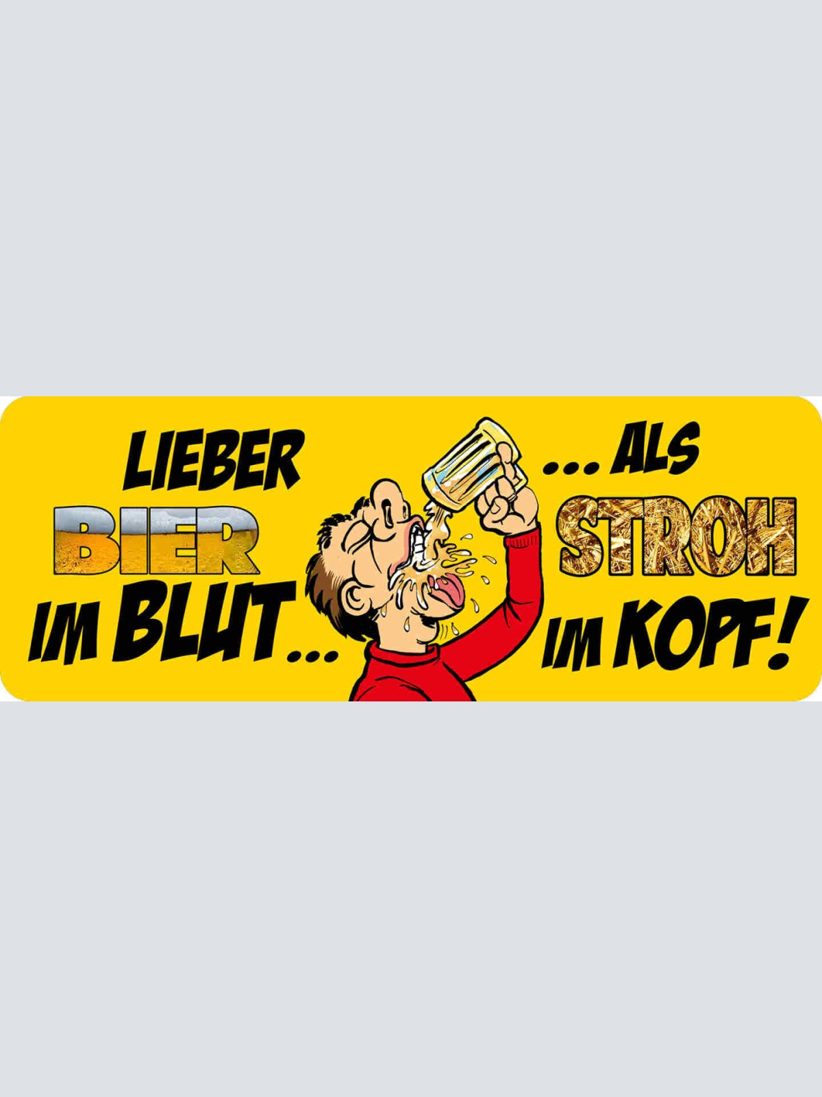Schild Lieber Bier Im Blut Als Stroh Im Kopf Alkohol 27 x 10 Blech od. Holz