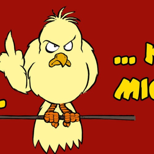 Schild Der Frühe Vogel Kann Mich Mal Morgen Früh Aufstehen 27x10 Blech od.Holz