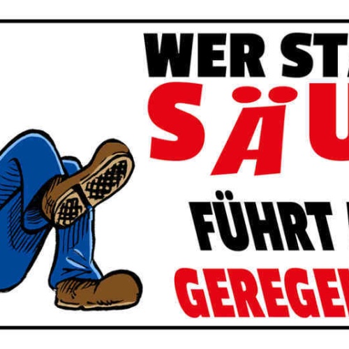 Schild Wer Ständig Säuft Führt Auch Ein Geregeltes Leben Alkohol Bier 27 x 10