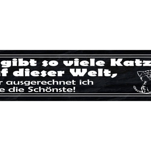 Schild es gibt so viele katzen auf dieser welt aber ich habe die schönste 46x10