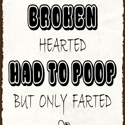 Nostalgie Schild Broken hearted WC Toilette 12x18 / 20x30 / 30x40 Blech od. Holz
