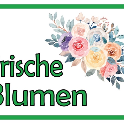 Schild Frische Blumen Pflanzen Verkauf Stand 12x18 / 20x30 / 30x40 Blech od.Holz