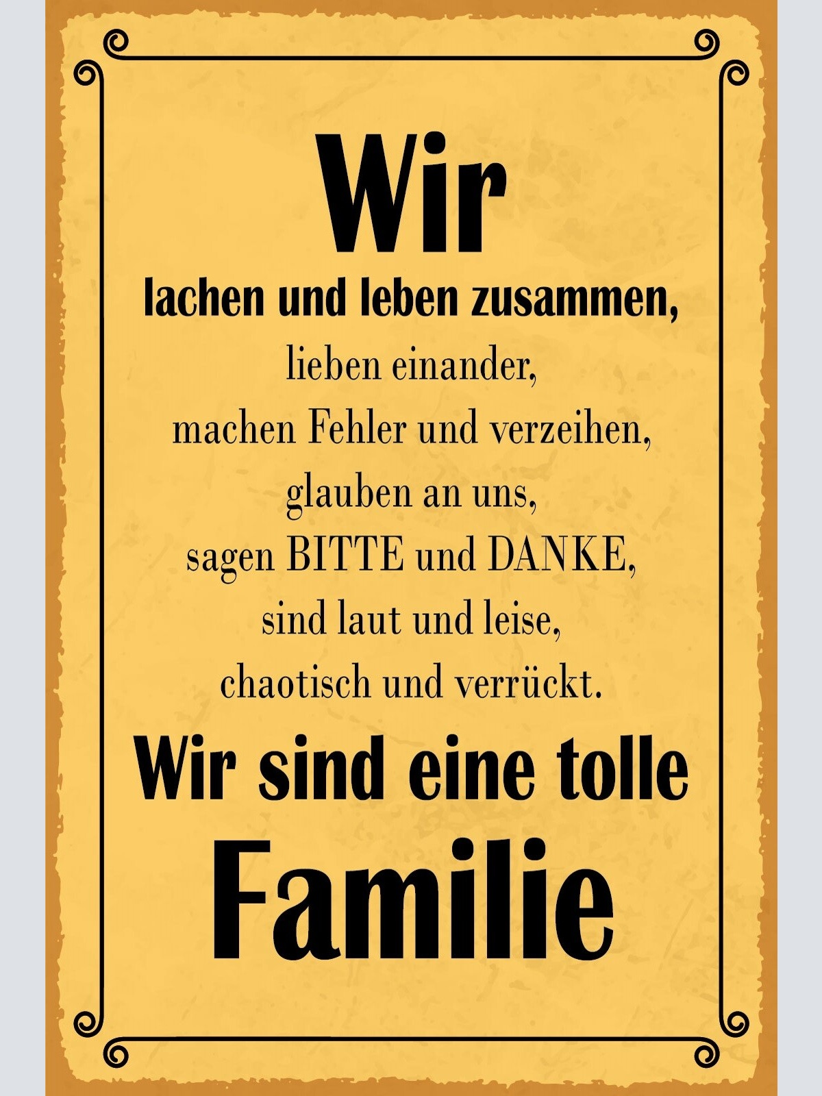 Schild Tolle Familie Leben Liebe Fehler 12x18 / 20x30 / 30x40 Blech od. Holz