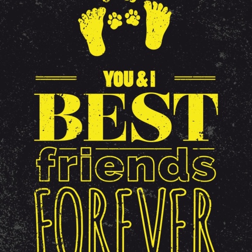 Schild You & I Best Friends Forever Du Ich Freunde 12x18 20x30 30x40 Blech/Holz