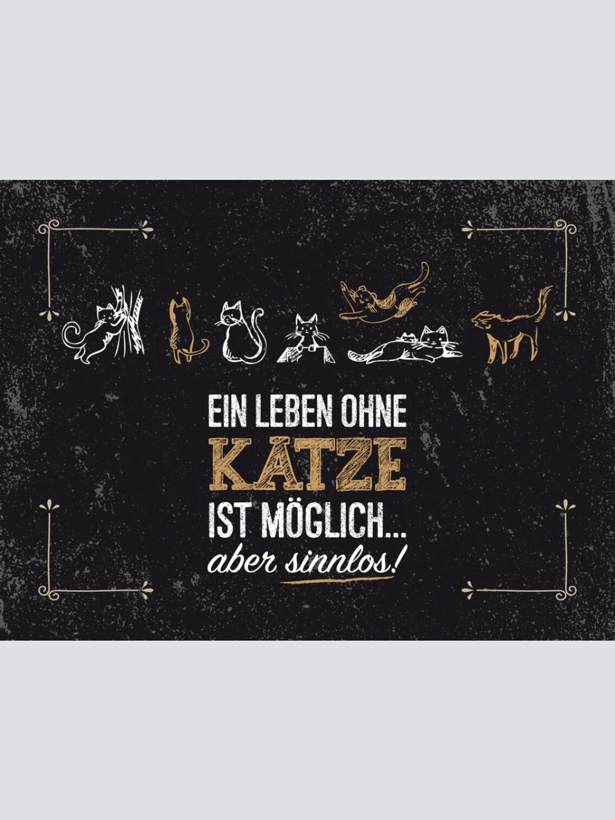 Schild Ein Leben Ohne Katze Möglich Aber Sinnlos 12x18 20x30 30x40 Blech/Holz