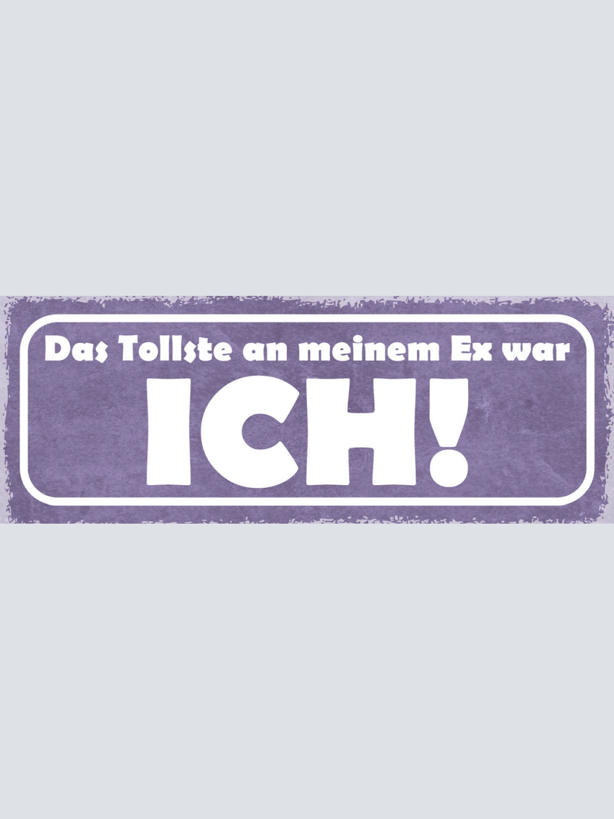 Schild Das Tollste An Meinem Ex War Ich Liebe Ehe Paar 27x10 Blech od.Holz