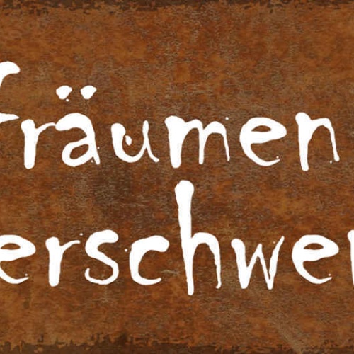 Schild Aufräumen Ist Zeitverschwendung Unordnung Chaos 27x10 Blech od.Holz