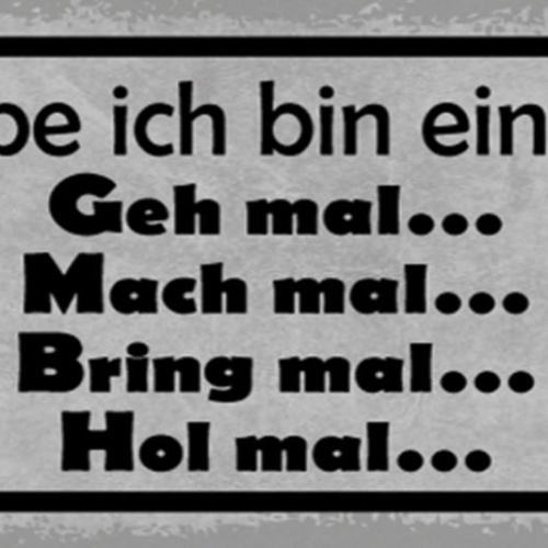 Schild Ich Glaube Ich Bin Eine GmbH Geh Mal Bring Hol Mal 27x10 Blech od.Holz