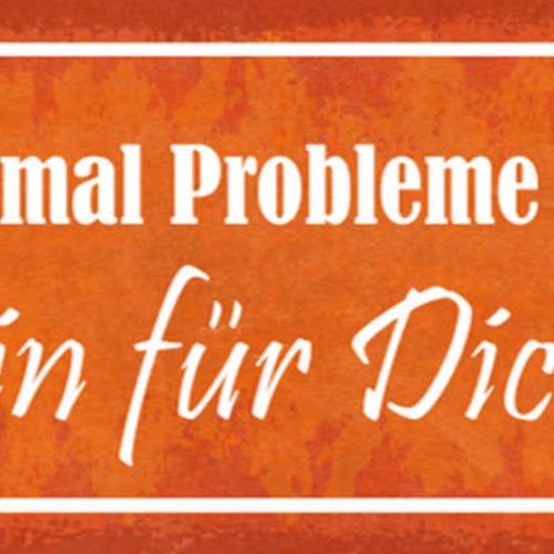 Schild Wenn Du Mal Probleme Brauchst Ich Bin Für Dich Da 27x10 Blech od.Holz