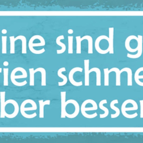 Schild Vitamine Sind Gesund Kalorien Schmecken Aber Besser 27x10 Blech od.Holz