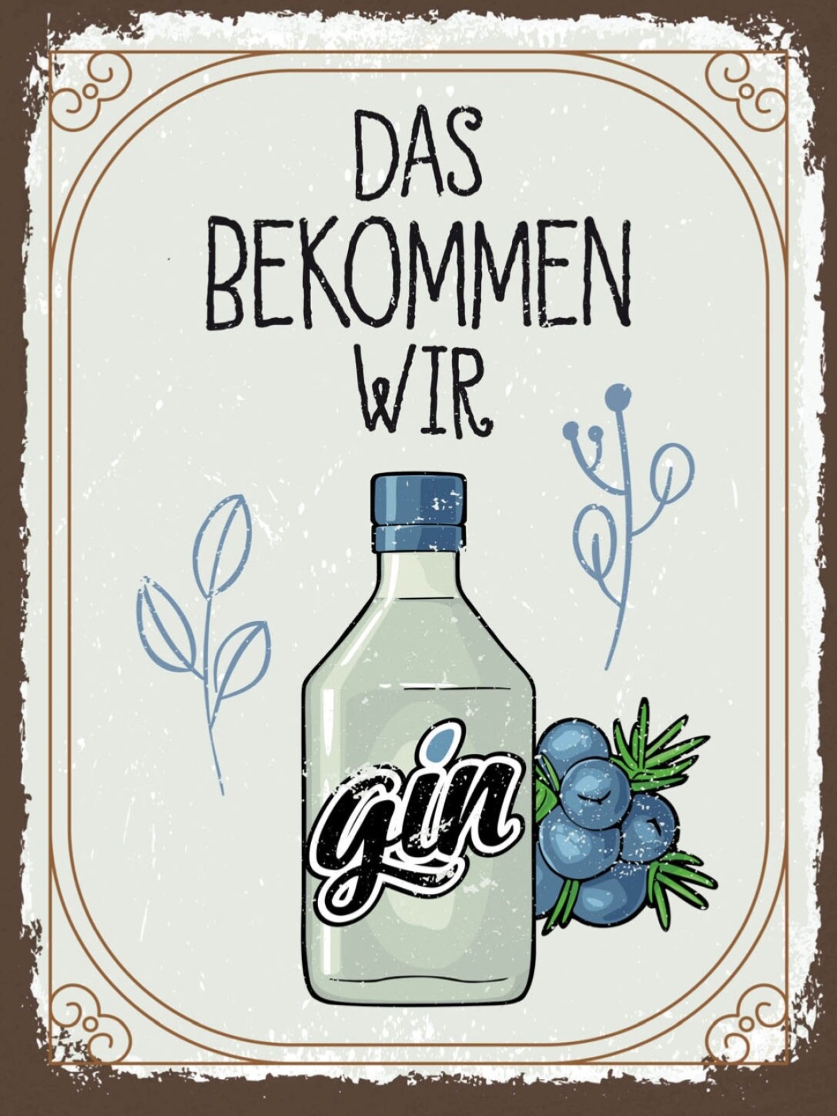 Schild Das Kriegen Wir Gin Hin Alkohol Flasche 12x18 20x30 30x40 Blech/Holz