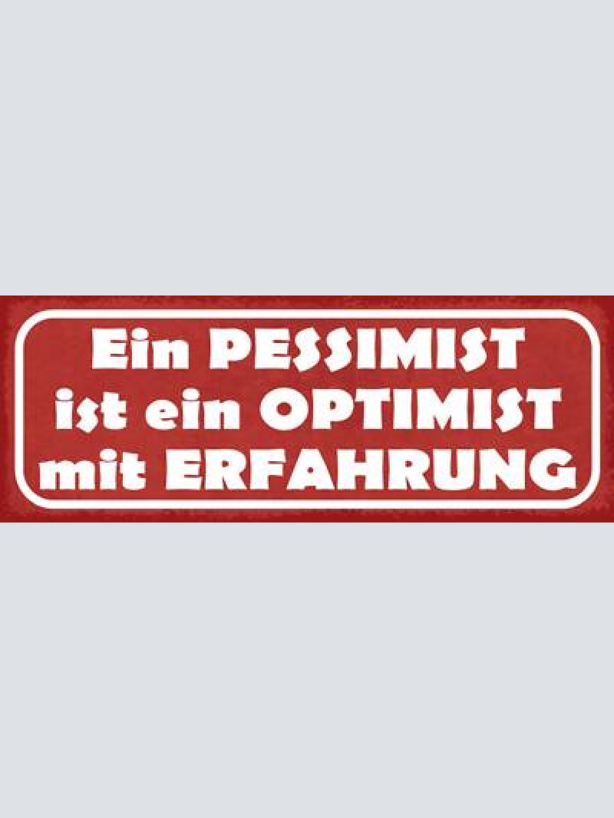 Schild ein pessimist ist ein optimist mit erfahrung negativ 27x10 blech od.holz