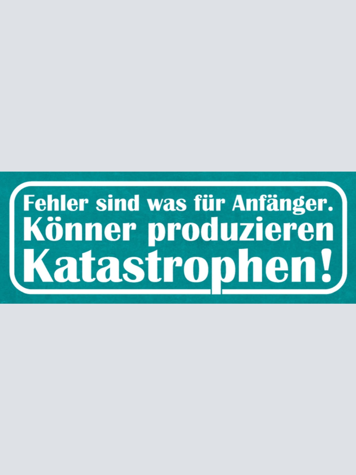 Schild Fehler Sind Was Für Anfänger Könner Produzieren Katastrophen 27x10