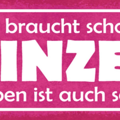 Schild Wer Braucht Schon Einen Prinzen Das Leben Ist Auch So Schön Liebe 27x10