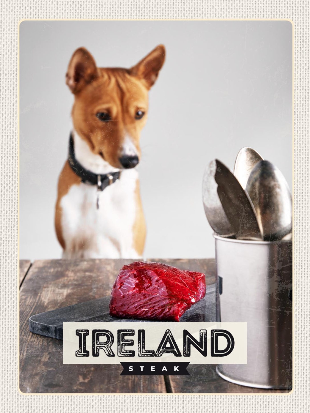 Schild Ireland Steak Irland Hund Fleisch 12x18 20x30 30x40 Blech od. Holz