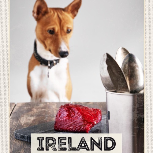 Schild Ireland Steak Irland Hund Fleisch 12x18 20x30 30x40 Blech od. Holz