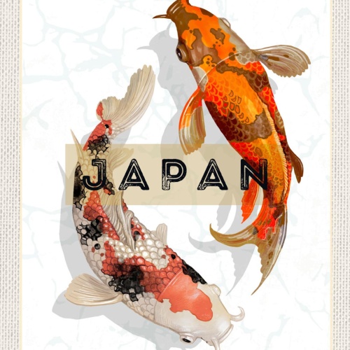 Schild Japan Koi Karpfen Fisch Zucht Nishikigoi 12x18 20x30 30x40 Blech/Holz