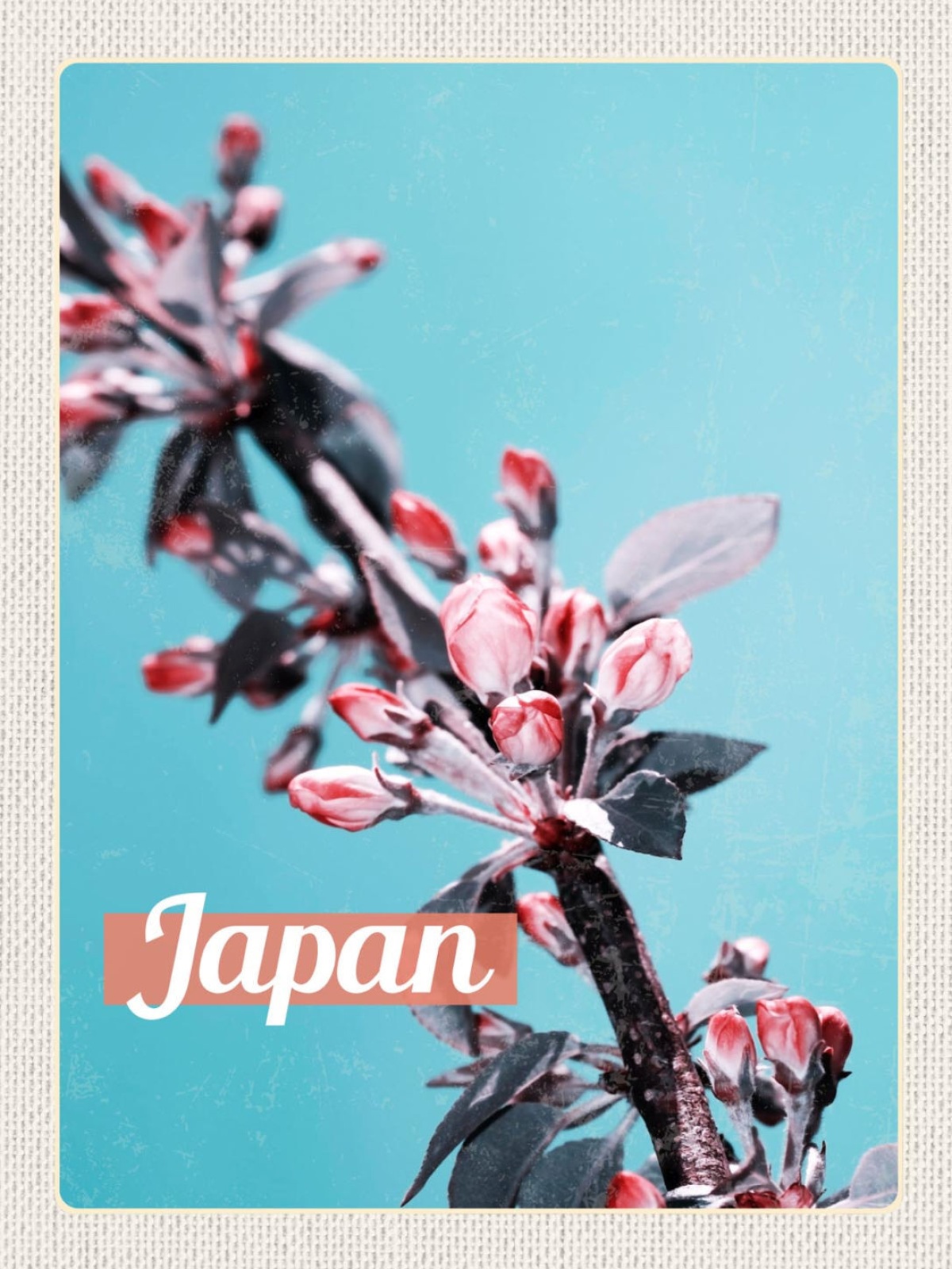 Schild Japan Sakura Kirschblüte Baum Knospen 12x18 20x30 30x40 Blech/Holz