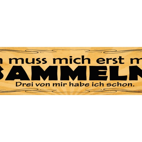 Schild Ich Muss Mich Erst Mal Sammeln Drei Von Mir Hab Ich Schon 46 x 10