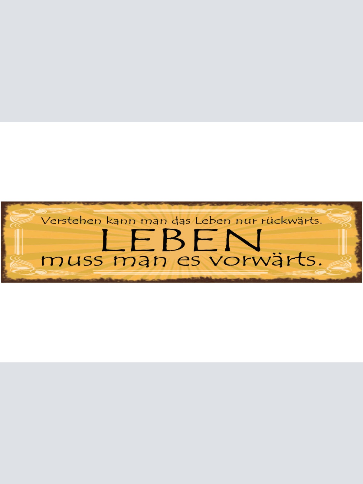 Schild Verstehen Kann Man Das Leben Nur Rückwärts Leben Muss Man Es Vorwärts