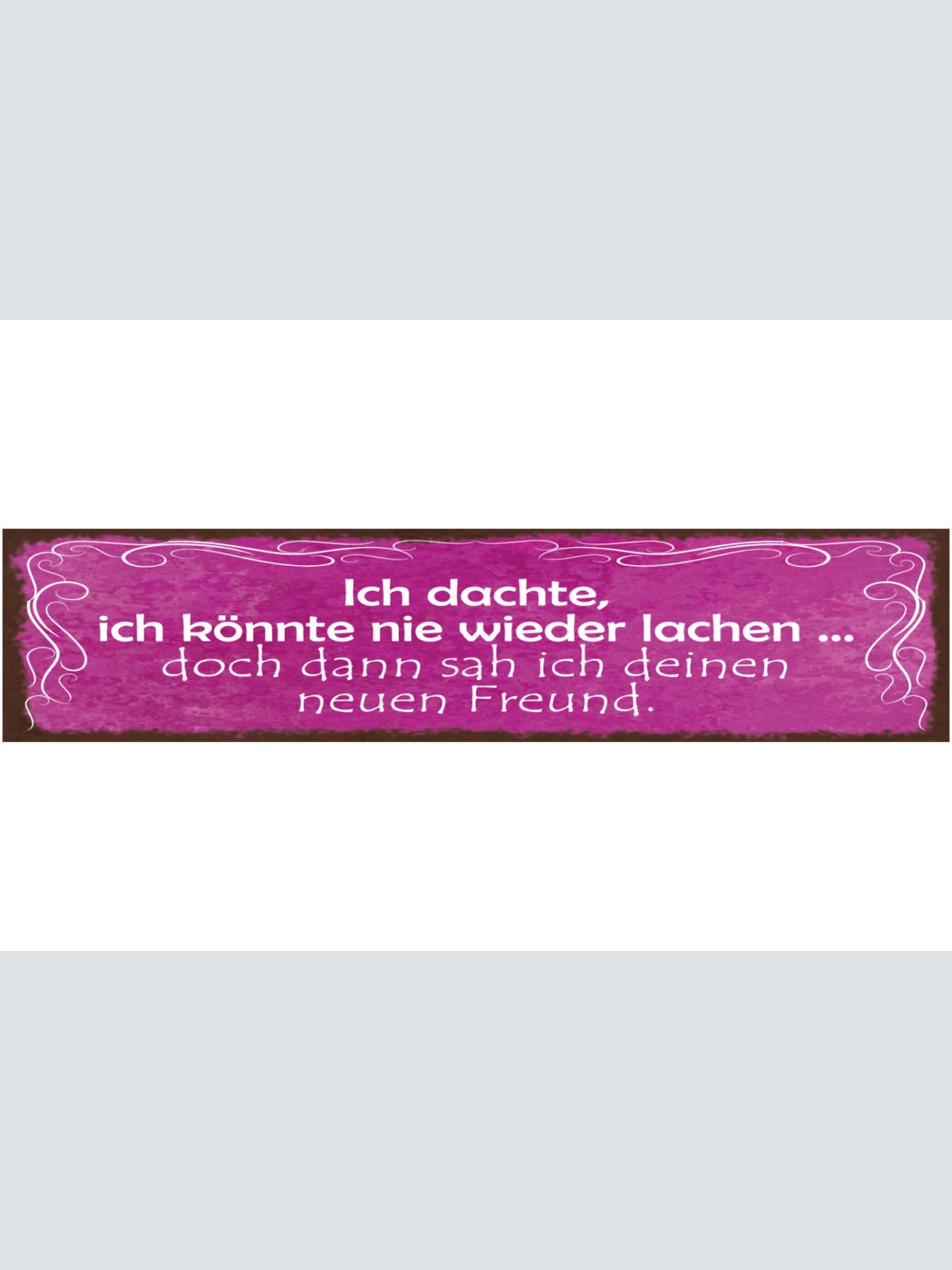 Schild Ich Dachte Ich Könnte Nie Wieder Lachen Doch Dann Sah Ich Deinen Freund