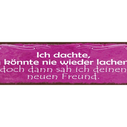 Schild Ich Dachte Ich Könnte Nie Wieder Lachen Doch Dann Sah Ich Deinen Freund