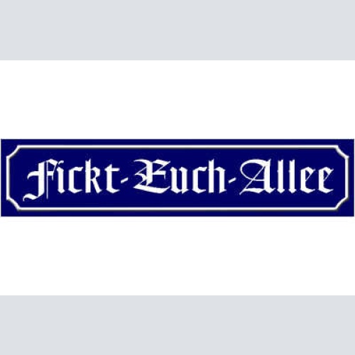 Schild Fickt Euch Allee Schimpfen Fluchen Ort Straße Platz 46 x 10 Blech od.Holz