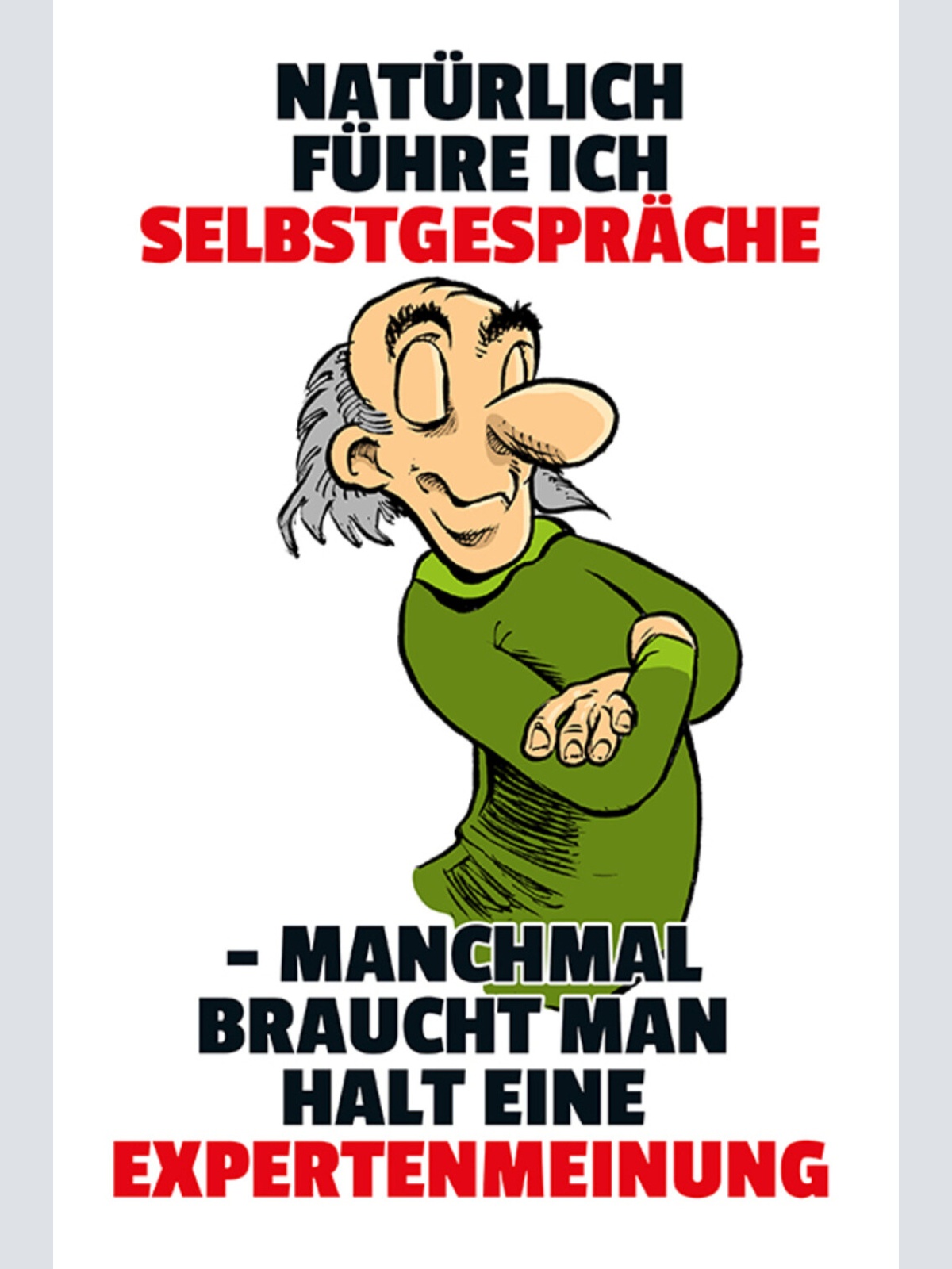 Schild Spruch Natürlich führe ich Selbstgespräche Manchmal Expertenmeinung JW