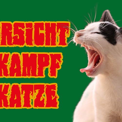 Schild Spruch Vorsicht Kampf-Katze Warnung Gefahr JW