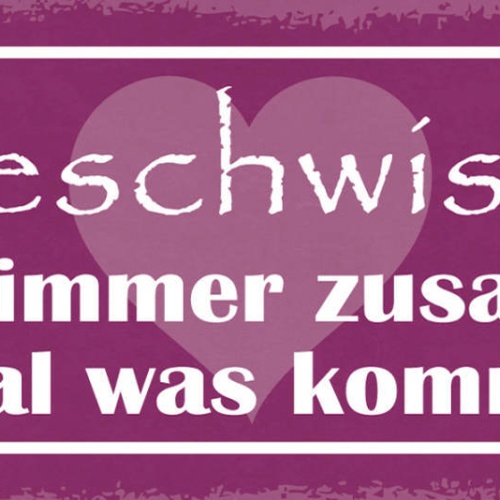 Schild Geschwister Halten Zusammen Egal Was Kommt Familie 27x10 Blech od.Holz