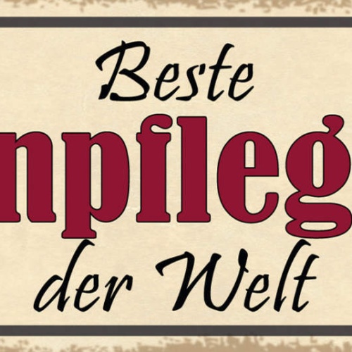 Schild Beste Altenpflegerin Der Welt Pflege Heim Senioren 27x10 Blech od.Holz