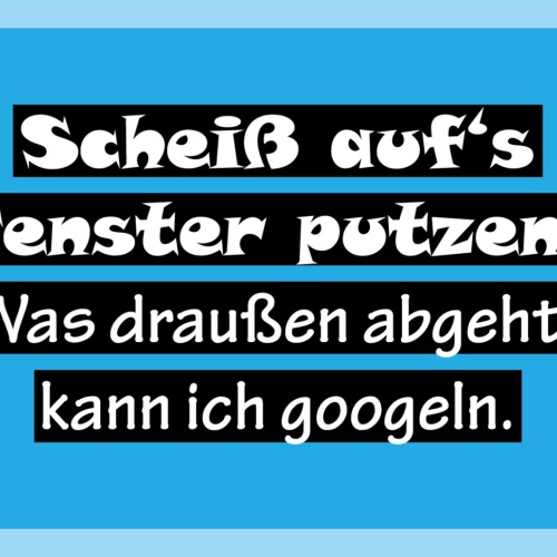 Schild Spruch Scheiß auf's Fenster putzen Was draußen abgeht kann ich googeln JW