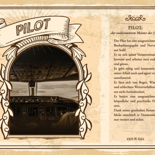 Schild Pilot Beruf Flugzeug Flugkapitän Fliegen 12x18 20x30 30x40 Blech/Holz