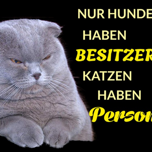 Schild Spruch Nur Hunde haben Besitzer Katzen haben Personal JW