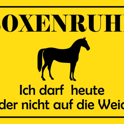 Schild Spruch Boxenruhe Ich darf heute leider nicht auf die Weide! Pferd JW