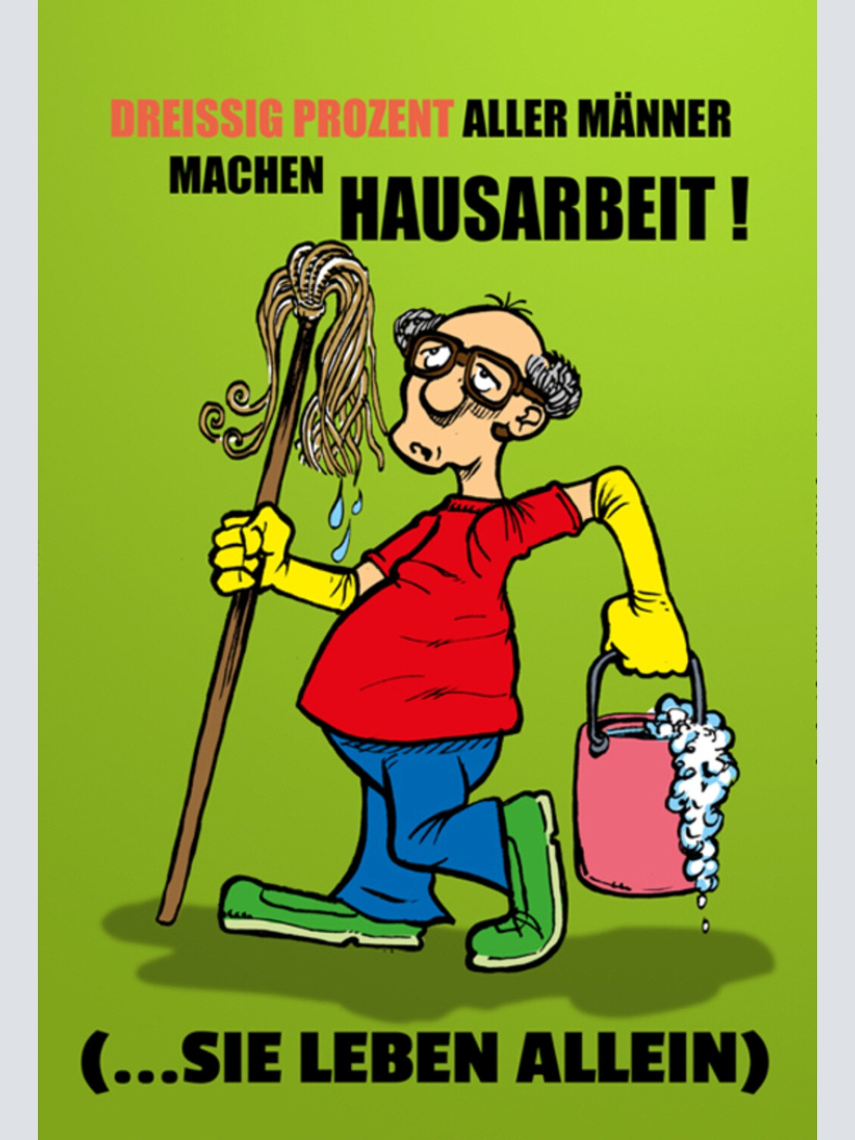 Schild Spruch 30% aller Männer machen Hausarbeit Sie leben allein Haushalt JW