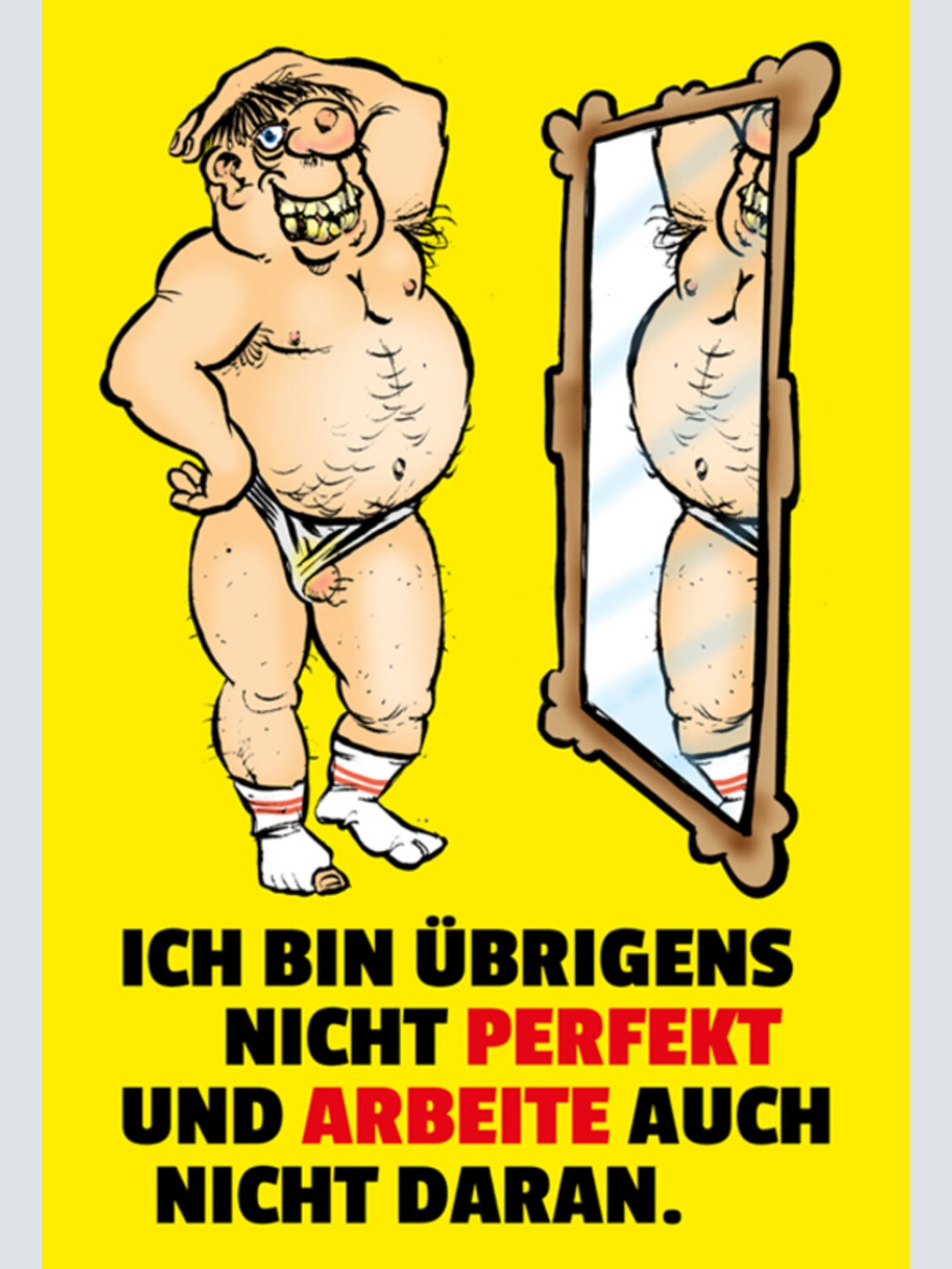 Schild Spruch Ich bin übrigens nicht perfekt und arbeite nicht daran Männer JW