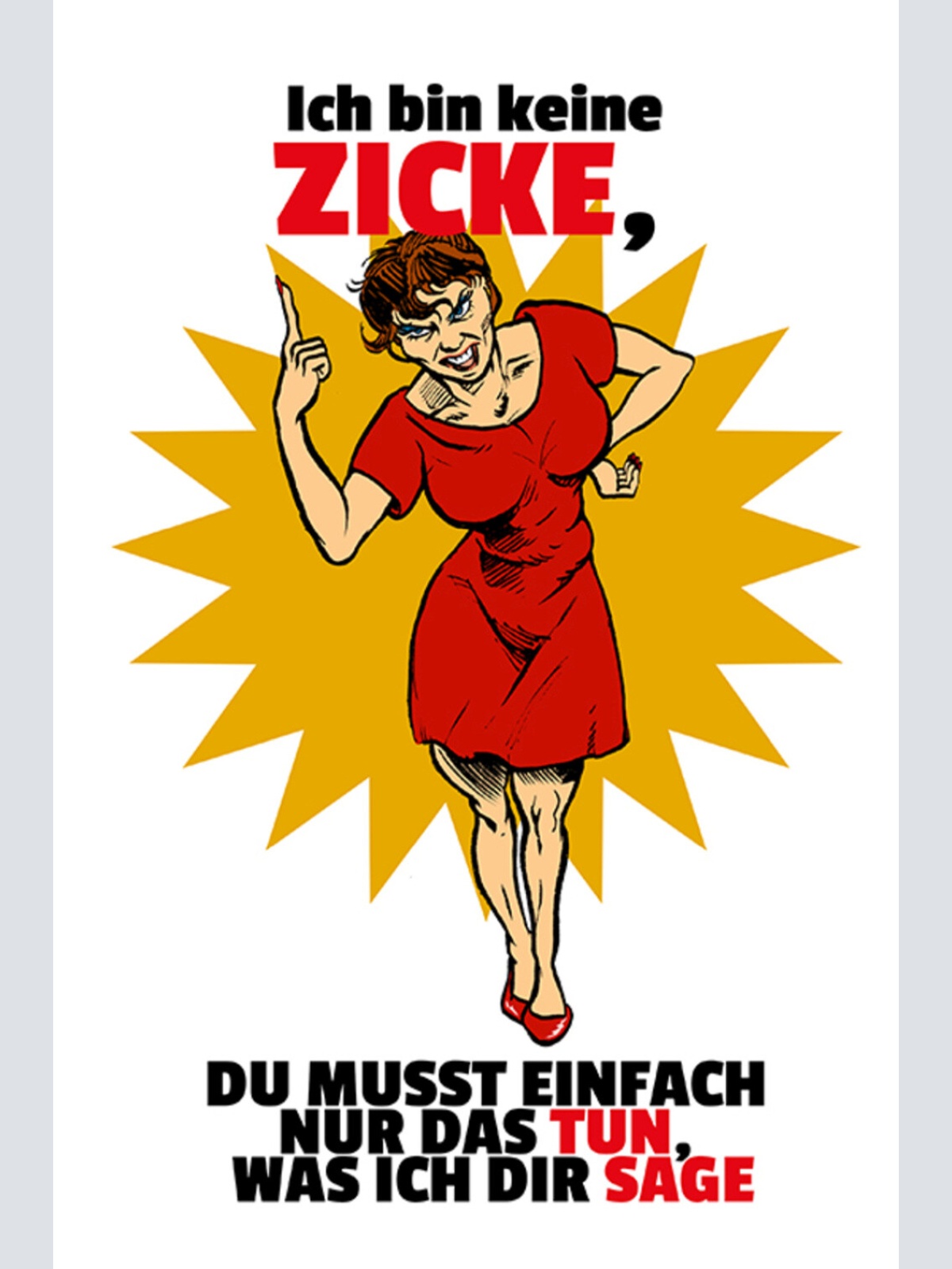 Schild Spruch Ich bin keine Zicke Du musst einfach nur das tun was ich sage JW