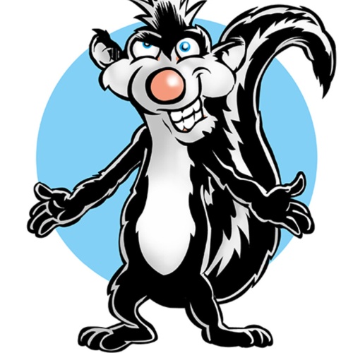 Schild Spruch Ich bin nicht perfekt aber verdammt nah dran Stinktier JW