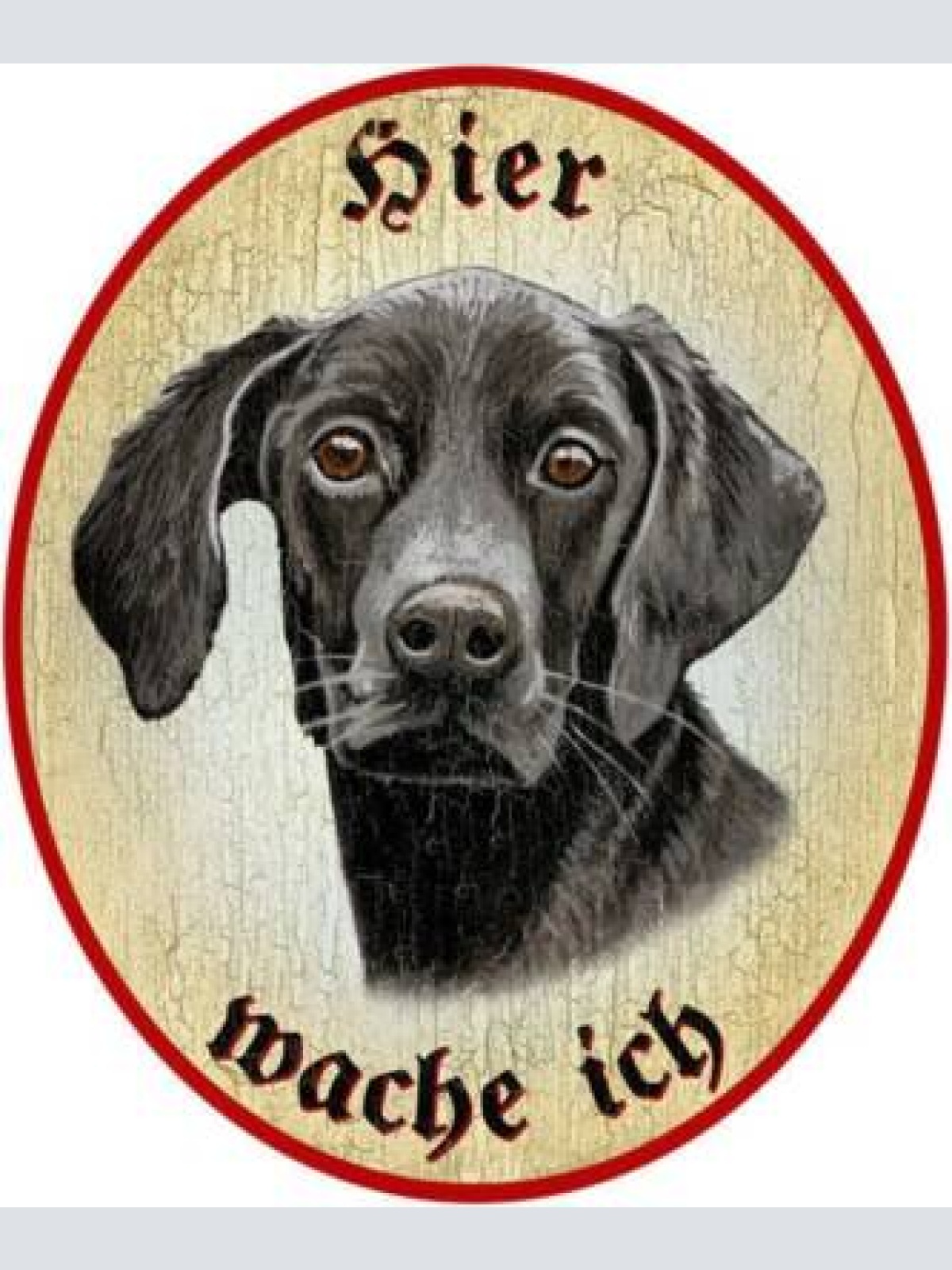 Kuk nostalgie holzschild "hier wache ich" deutsch kurzhaar hund