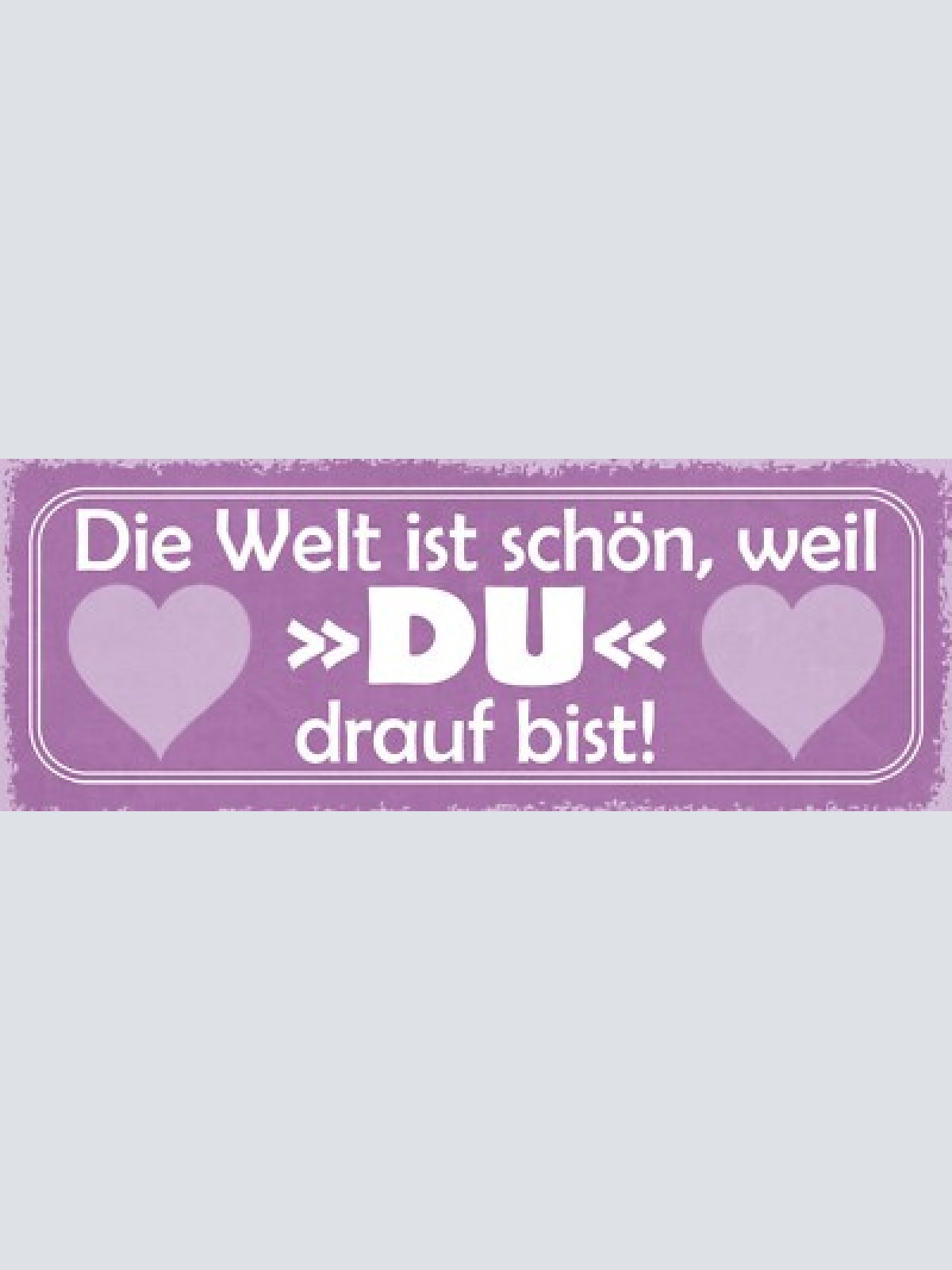 Schild die welt ist schön weil du drauf bist liebe ehe paar 27x10 blech od.holz