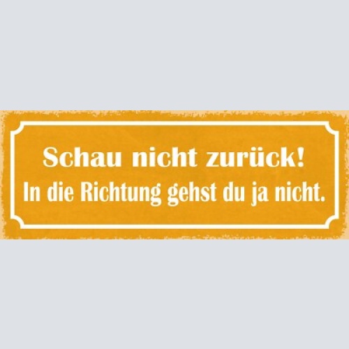 Schild schau nicht zurück in die richtung gehst du ja nicht 27x10 blech od.holz